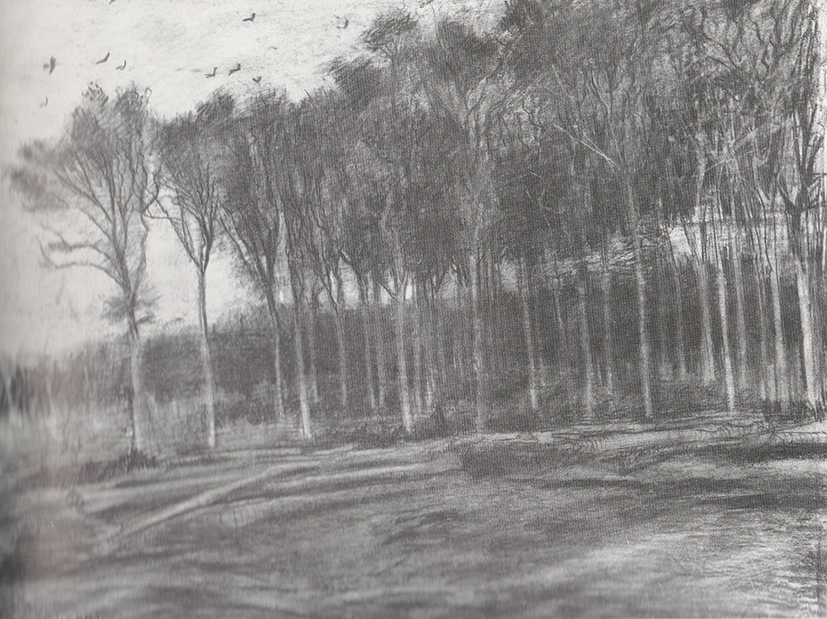 Van Gogh. Al limite del bosco. 1881. Carboncino rialzato in bianco. Otterlo